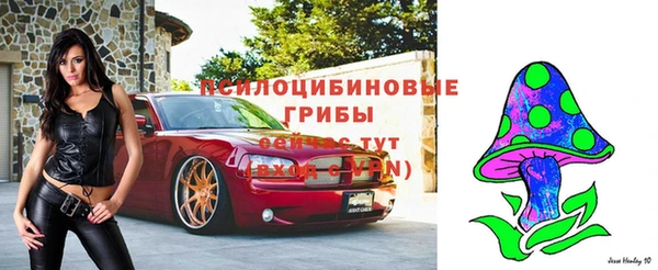 тгк Нея