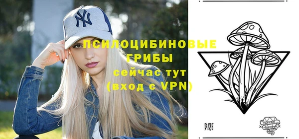 тгк Нея
