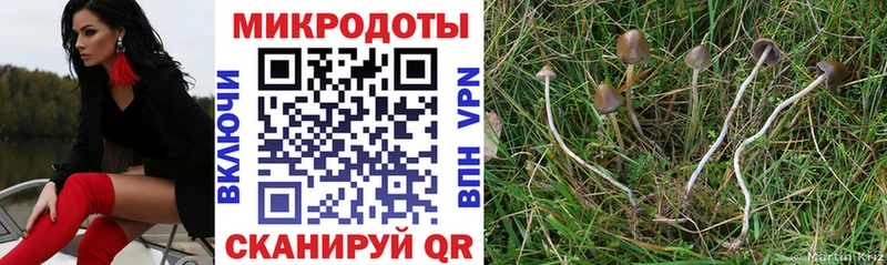 Псилоцибиновые грибы Psilocybine cubensis  Нижняя Тура 